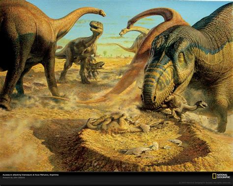 47 Kids Dinosaur Wallpaper