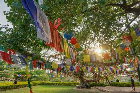 Lumbini Nepal The Birthplace Of Buddha Little Things Travel