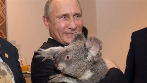 World Leaders With Koalas At G 20 Summit