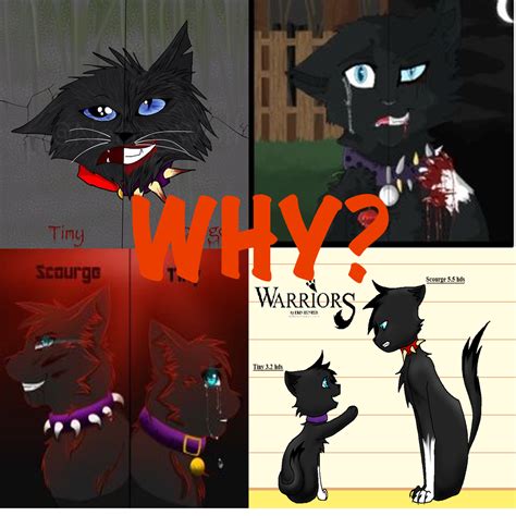 Why Scourge Png Warrior Cats Club Photo 40120010 Fanpop