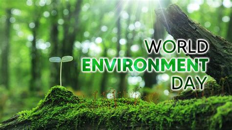 Hari Lingkungan Hidup Sedunia Juni