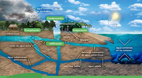 Todo Está Conectado Aguas Subterráneas Y Superficiales Mx