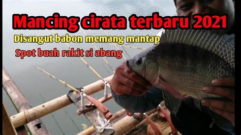 Mancing Cirata Terbaru 2021 Disangut Babon Memang Mantap Youtube