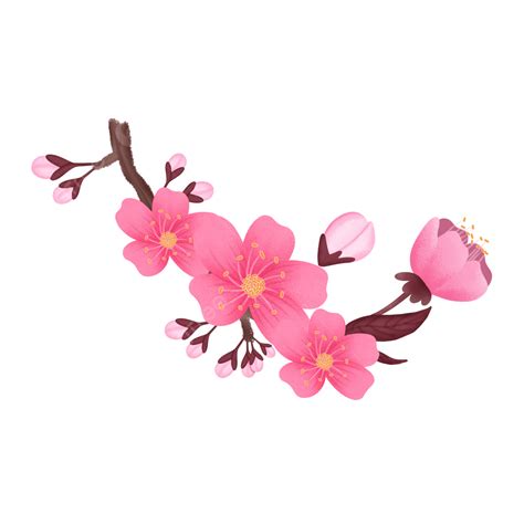 Sakura Cherry Blossom Png Transparent Cherry Blossoms Sakura Wreath