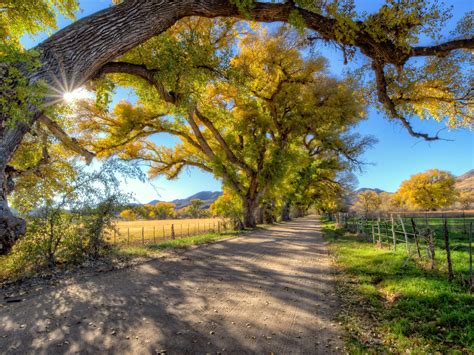 Autumn Landscape Country Road Trees Wallpaper Hd