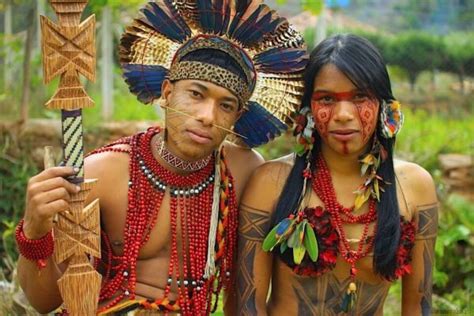 Население Южной Америки 7 класс размещение на материке коренные народы
