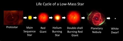 Low Mass Star Cycle