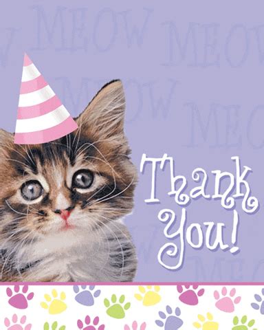 Shipping is delayed about 3 weeks (it is. Greeting Card GIFs - Find & Share on GIPHY