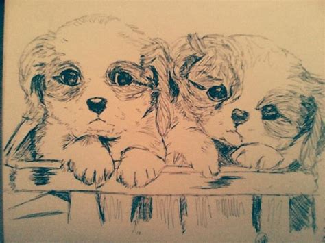 Drawing Puppies By Karla Lorca OurArtCorner