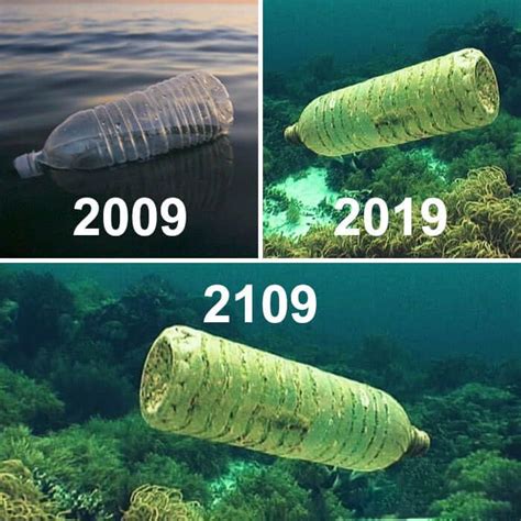The Funniest Ten Year Challenge Memes In 2020 With Images Save