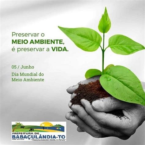 05 De Junho Dia Mundial Do Meio Ambiente Prefeitura De Babaçulandia