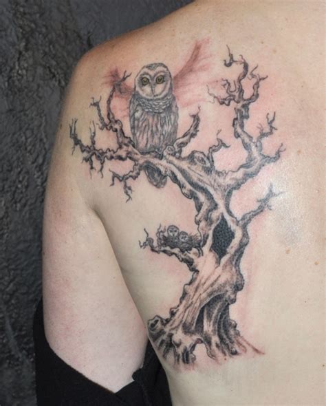 40 Beautiful Owl Tattoo Design Entertainmentmesh