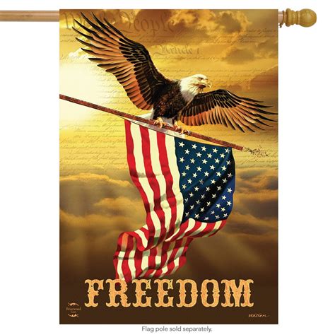 Freedom Patriotic House Flag Bald Eagle USA X Briarwood Lane Walmart Com Walmart Com
