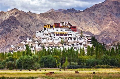 Most Beautiful Monasteries In Ladakh India