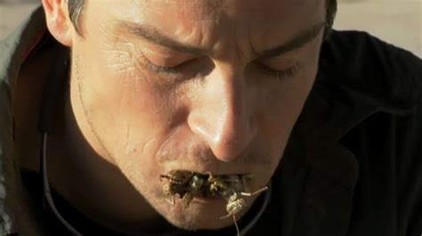 Bear Grylls Eats A Bug Pate Man Vs Wild Disgusting Eats Youtube