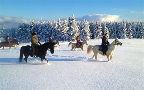 France Horse Riding In The Snow Equestrian Holidays In