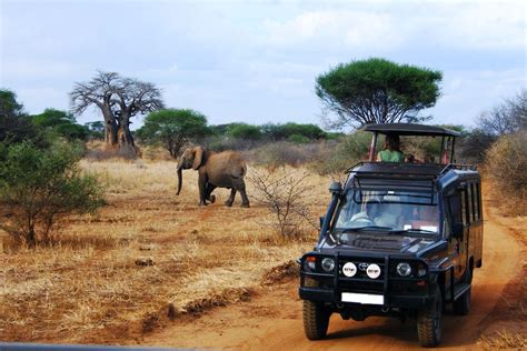 The Government Of Tanzania Outlines Plan To Boost Tourism Growth