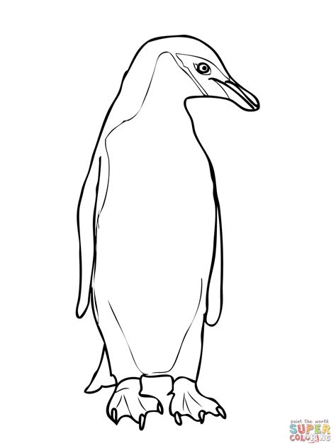 Worksheet for toddlers and pre school age. King Penguin coloring, Download King Penguin coloring for ...