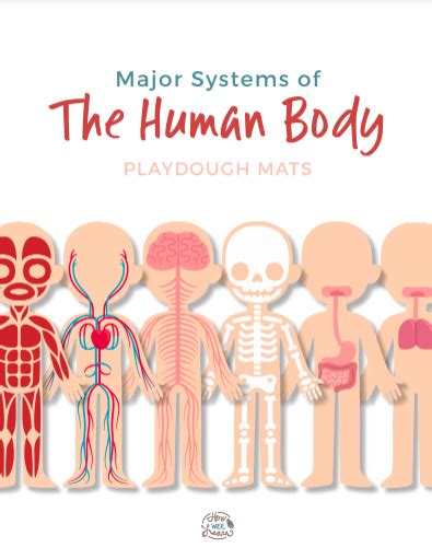 Printable Human Body Systems Playdough Mats Human Body Systems