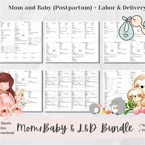 Detailed Mom And Baby Nurse Brain Report Sheet For 1 Couplet 1 Etsy