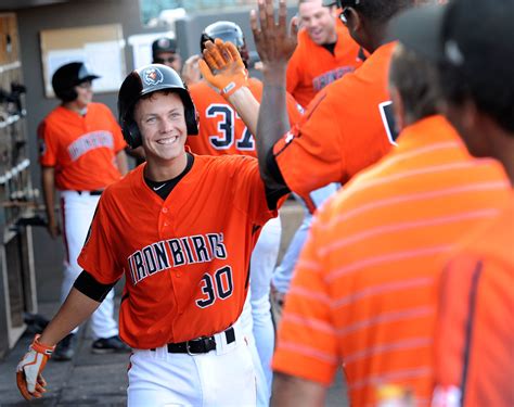 New world oriole, a group of birds in the family icteridae; Orioles prospect Ryan Mountcastle wrapping successful ...