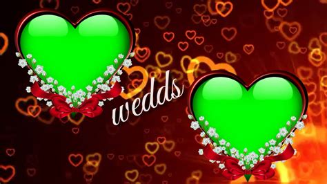 Wedding green screen effect background green screen,our green vfx , green vfxsslamoalykomdosto mera nam waqarahmad aap ka swagat hai youtube channel i love m. Green screen wedding effects video || wedding background ...
