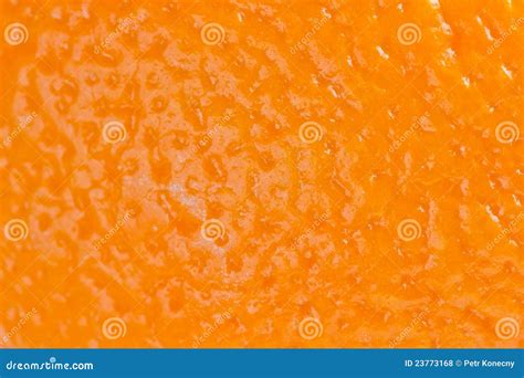 Orange Skin Stock Photo Image Of Flavor Nature Organic 23773168