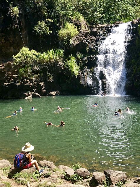 Oahus Waimea Valley And An Easy Side Trip During North Shore Visit
