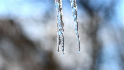 Close Up Icicles Slowly Melting In Winter Scene Stock Footage Video