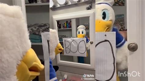 Donald Duck Tik Tok Compilation 💕🦆 Youtube