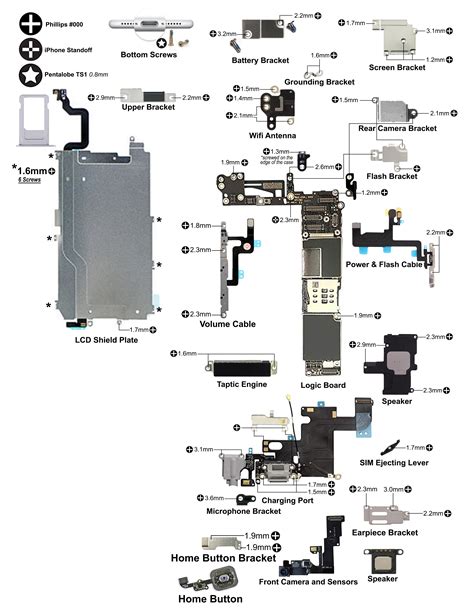 I Made A Disassembly Schematic For The Iphone 6 Infos In Comments