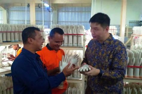 Loker di kimstar tanjung morawa / laba bersih mark dynamics mark meningkat 7 45 pada 2019. Loker Di Kimstar Tanjung Morawa - Info Loker Medan Terbaru ...