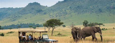 Masai Mara Game Reserve About The Masai Mara National Reserve