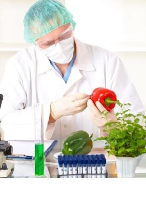 20 lavori per controllo qualità alimentare disponibili a bolca, veneto su indeed.com. Andria: Aperte le iscrizioni al corso di "Tecnico del ...
