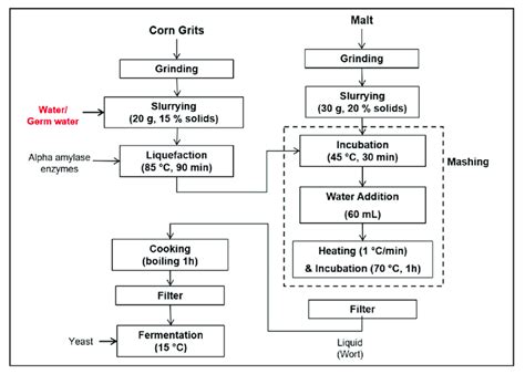 Schematic Of Steps Followed For Fermentation Of Corn Grits And Malt