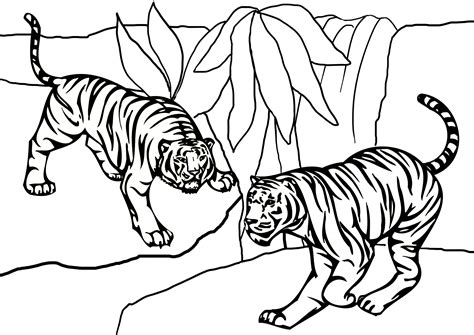 Coloring Pictures Of Tigers