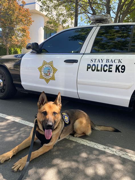 Police Department | Eureka, CA