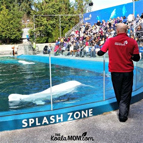 The Vancouver Aquarium is always fun for the whole family! | Vancouver ...