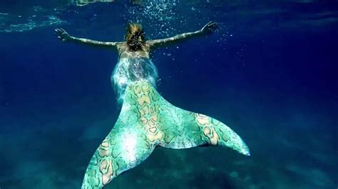 Mako Mermaids Wallpapers Wallpaper Cave