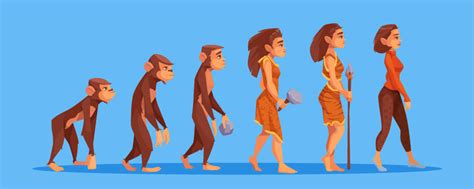 how did humans evolve a complete guide to human evolution mybiosource learning center