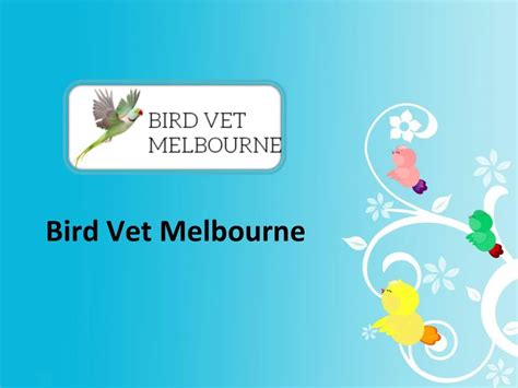 Ppt Avian Veterinary Laboratory Melbourne Birdvetmelbourne