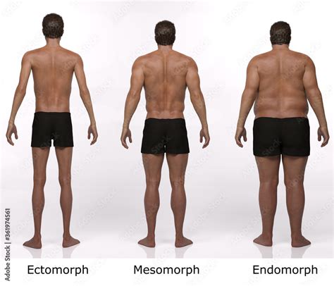 Mesomorph Before And After