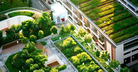 Nnn Green Roofs Improve The Urban Environment So Why Dont All