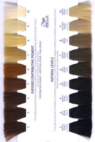 chart  underlying pigment hair level chart mens hair colour hair