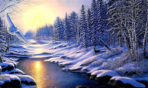Winter Forest Snow Nature River Sunset Hd Wallpaper Peakpx