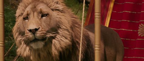 Siblings lucy, edmund, susan and peter step through a magical wardrobe and find the land of narnia. The Chronicles of Narnia: The Lion, The Witch & The ...