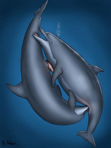 Rule 34 Anatomically Correct Anus Cetacean Dolorcin Dolphin Female