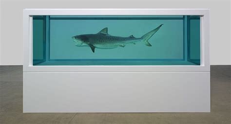 Damien Hirst 1965 —— Damien Hirst Shark Exhibition Artwork Art