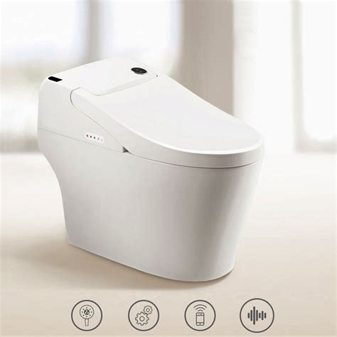 Euroto One Piece Dual Flush Toilet With Integrated Bidet Integrated