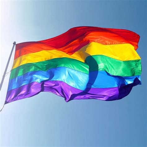 Rainbow Flag 3x5 Ft 90x150cm Polyester Lesbian Gay Pride Lgbt For